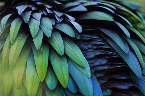 Revalue brand identity