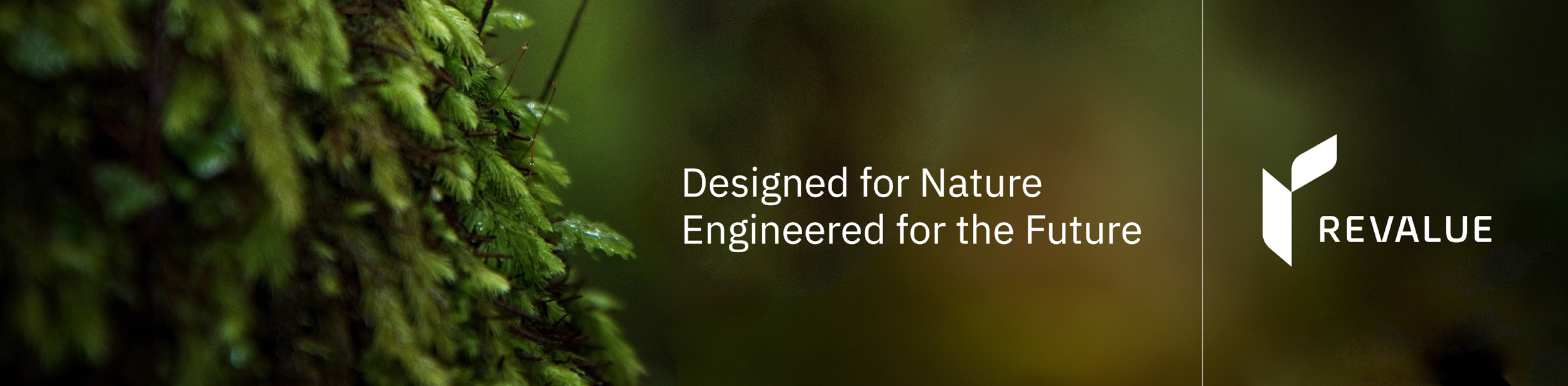 Revalue brand identity