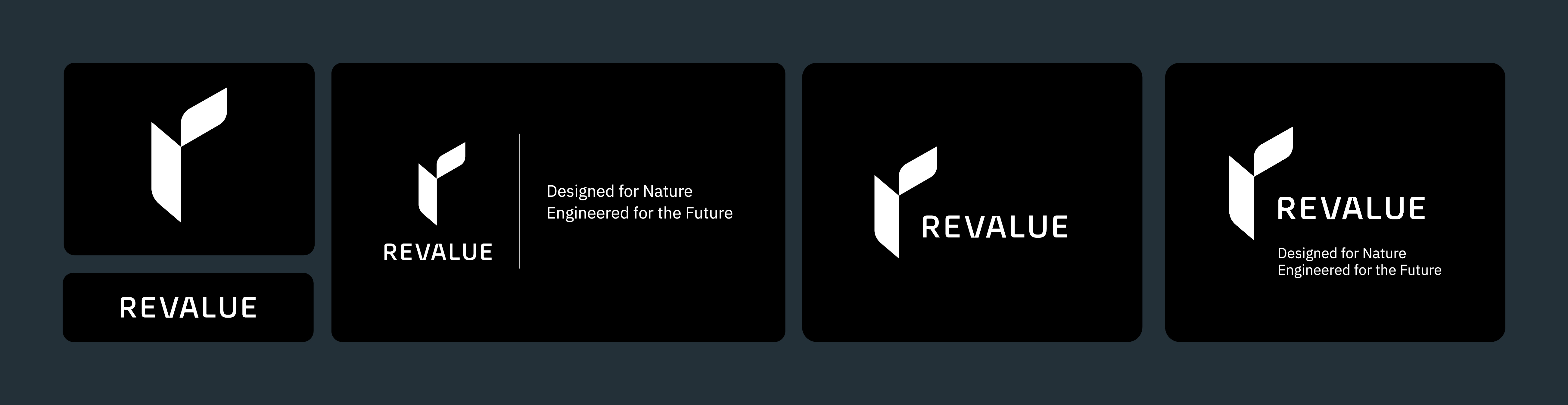 Revalue brand identity