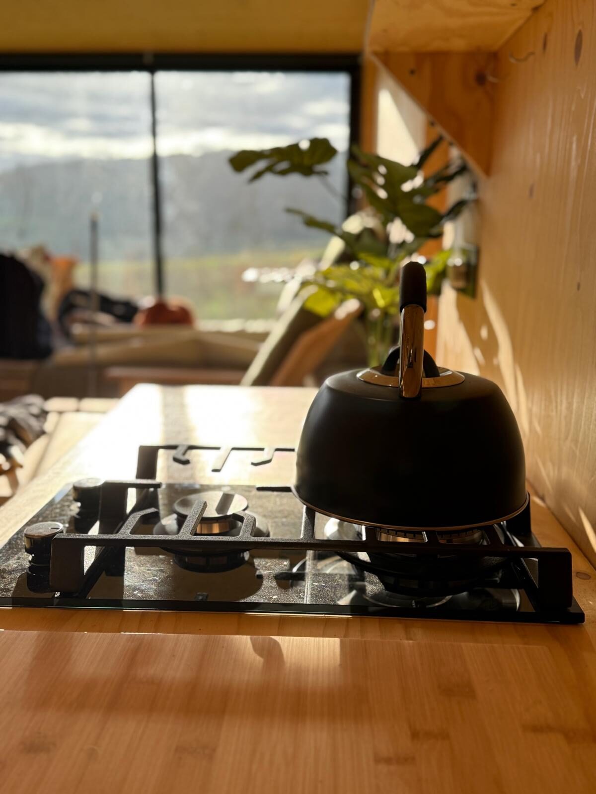 Roeka cabin detail